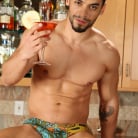 Arad in 'Cocktail Seduction'