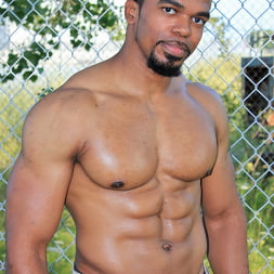 Boxer