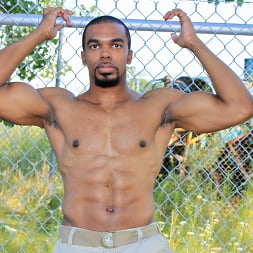 Boxer