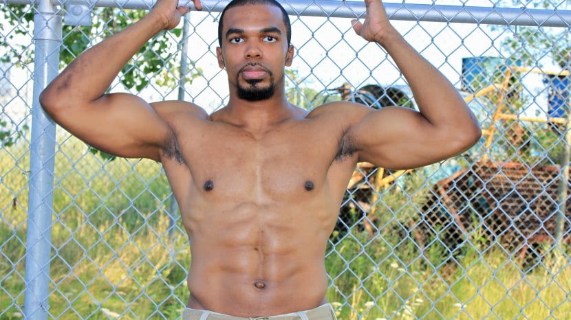 Boxer