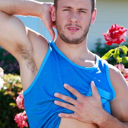 Gardener's Prick