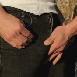 City Cock and Farm Bottom