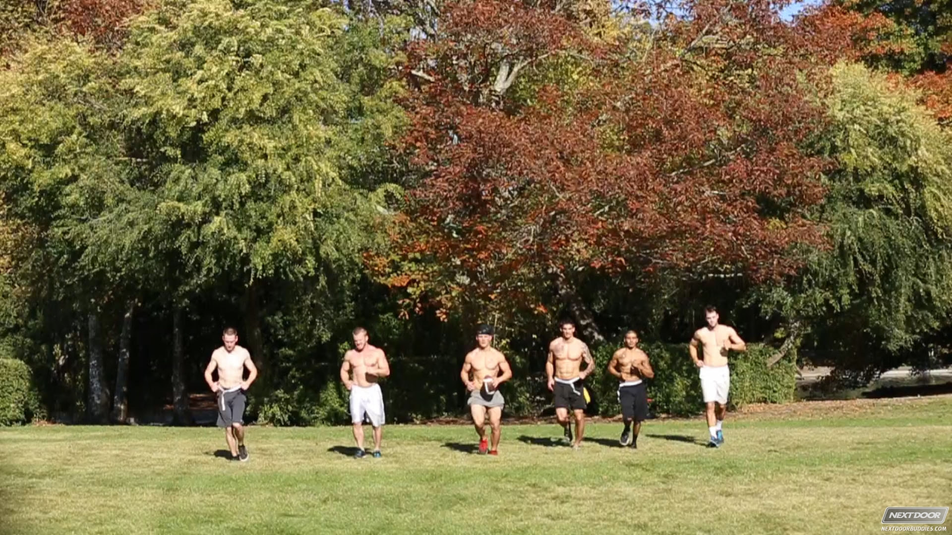 Tight Ends
