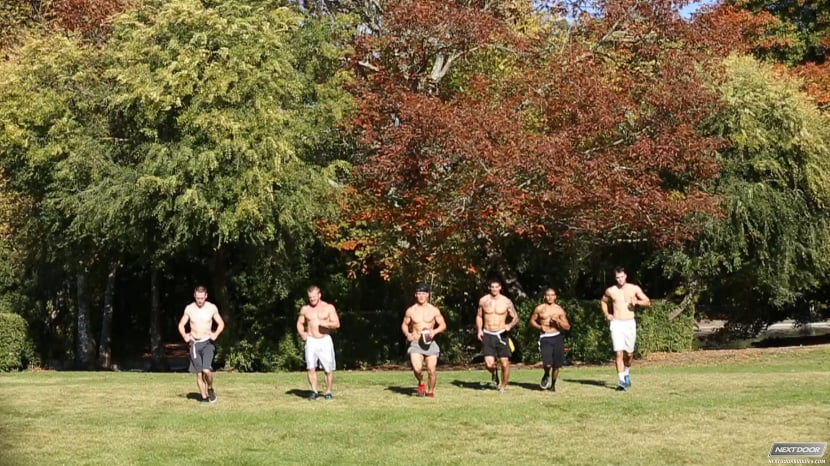Tight Ends