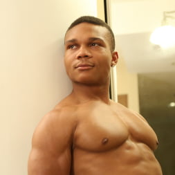 Flex