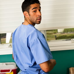 The Cock Doc