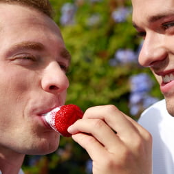 Picnic Pleasures