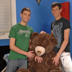 Bearly Legal