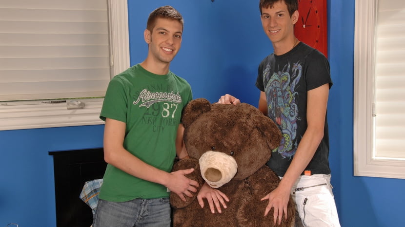 Bearly Legal