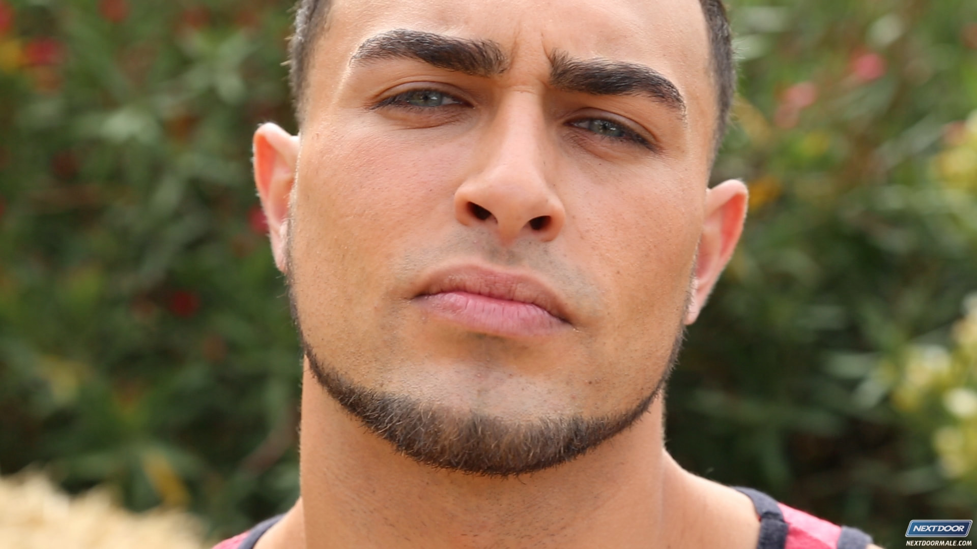 Rex Raw