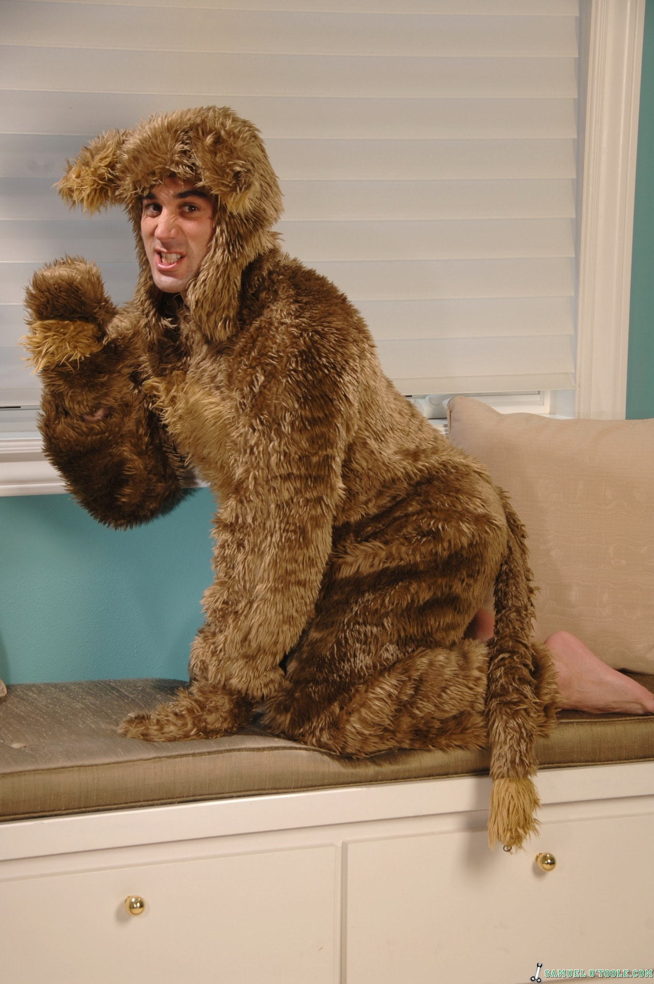 Bearly Fur Real