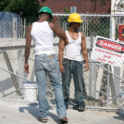 Cock Contractors