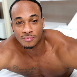 Sex and Flex